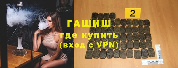 индика Осинники