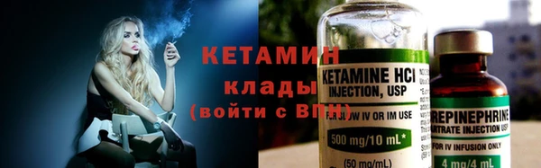 индика Осинники