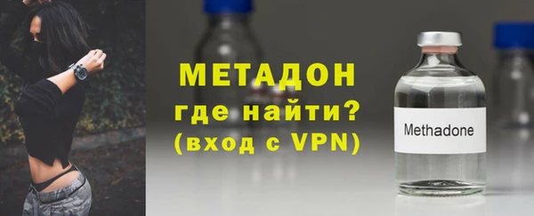 индика Осинники