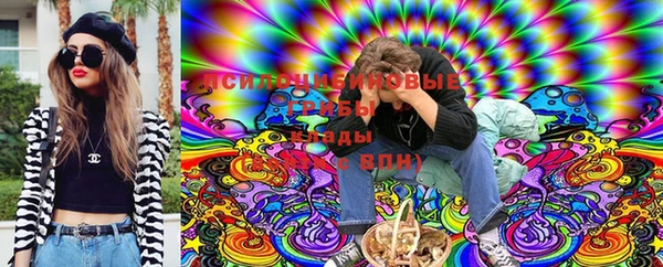 спиды Нея