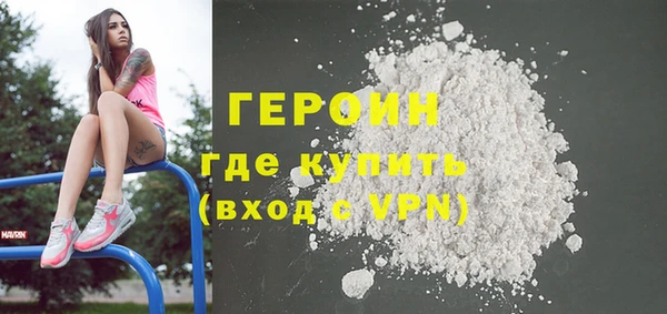 индика Осинники