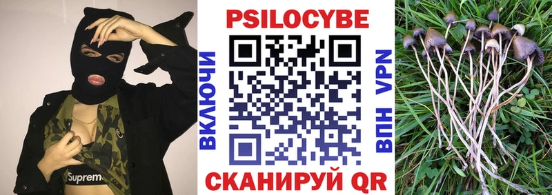 нарко площадка Telegram  Дыгулыбгей  Псилоцибиновые грибы прущие грибы  продажа наркотиков 